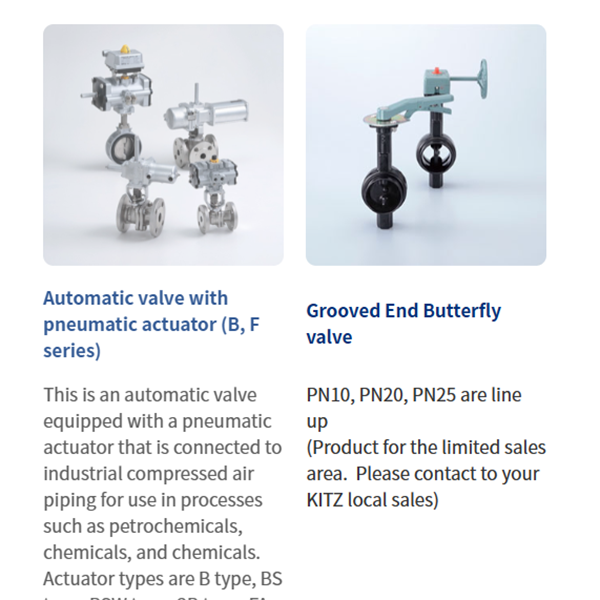 KITZ日本開滋閥門、10K電動蝶閥EXS100-10DJUE-80A