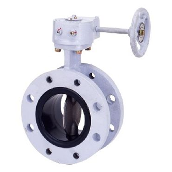 KITZ開滋閥門、日本進口閥門G-16DJE-250A