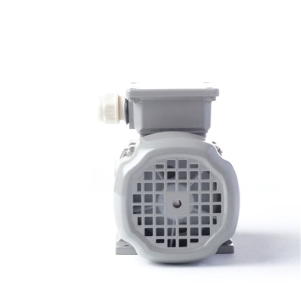 德國(guó)AC MOTOREN三相異步雙速電機(jī)AC16L4800001