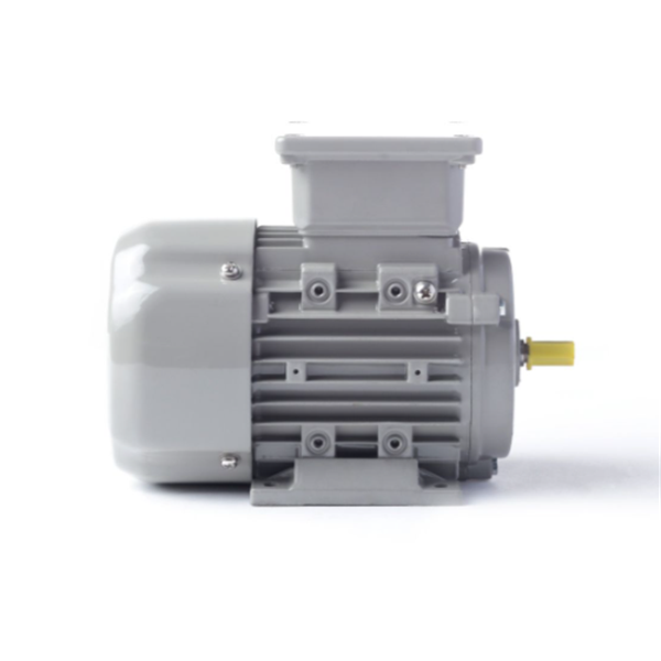 德國(guó)AC MOTOREN三相異步雙速電機(jī)AC16L4800001