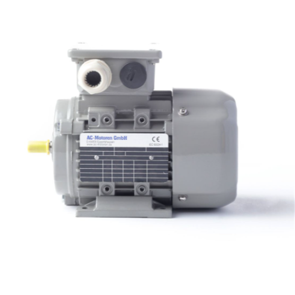 德國(guó)AC MOTOREN三相異步雙速電機(jī)AC16L4800001