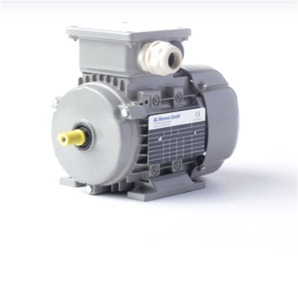 德國(guó)AC MOTOREN三相異步雙速電機(jī)AC16L4800001